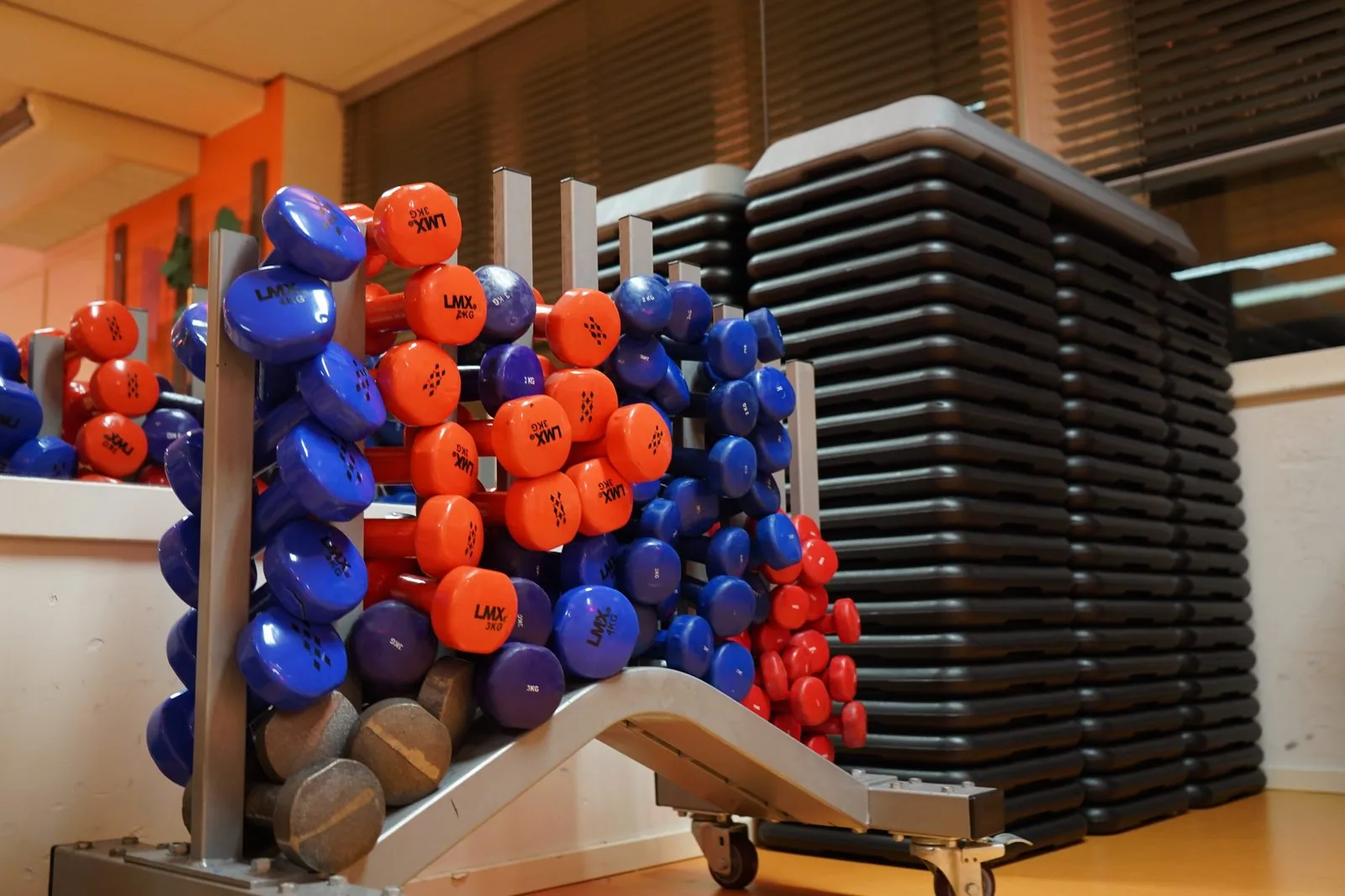 Dumbbells voor krachttraining groepslessen Club You Alblasserdam